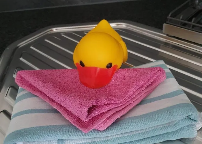 Asterstein Apartment